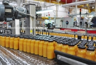 Fruit Glass Bottle Juice Filling Machine 200ml Automatic Flavor Production Line