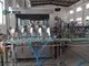 600BPH Juice Bottling Line supplier