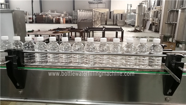 PLC  Control Plastic Bottle Automatic Litchi Juice Filling Machine 1