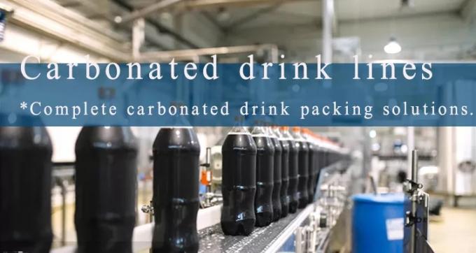 Pet Bottle Carbonated Soft Drink Filling Machine SS304 Production Line 1000BPH 0
