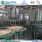 Rotary Filling Machine For Pure Mineral Water Filling supplier